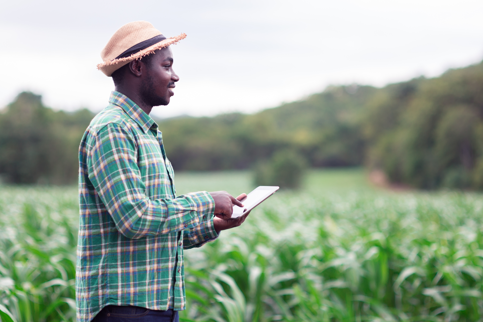African Farming