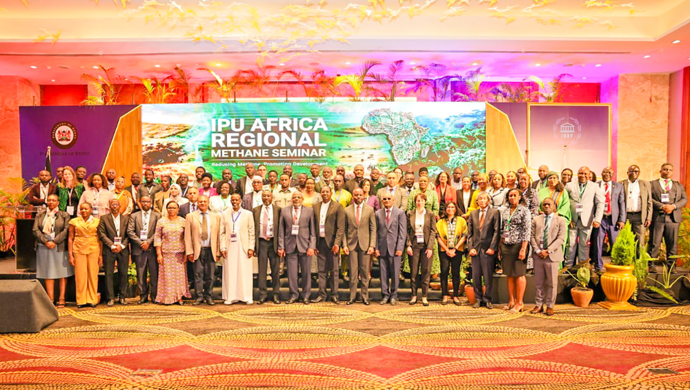 IPU Seminar