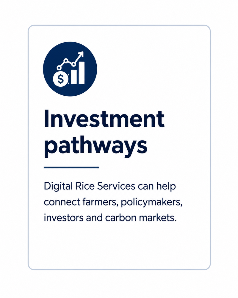 Investment Pathway V2