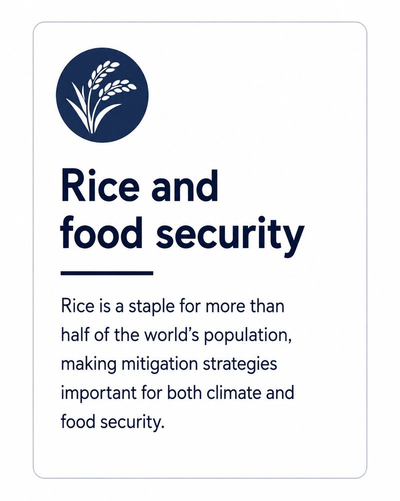 Rice and food Security Card V2