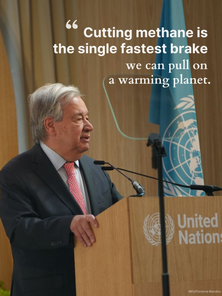 UNSG Call to Action on Methame