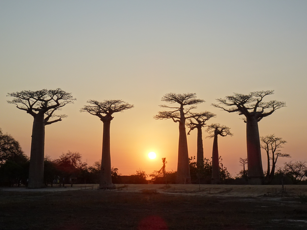 Madagascar