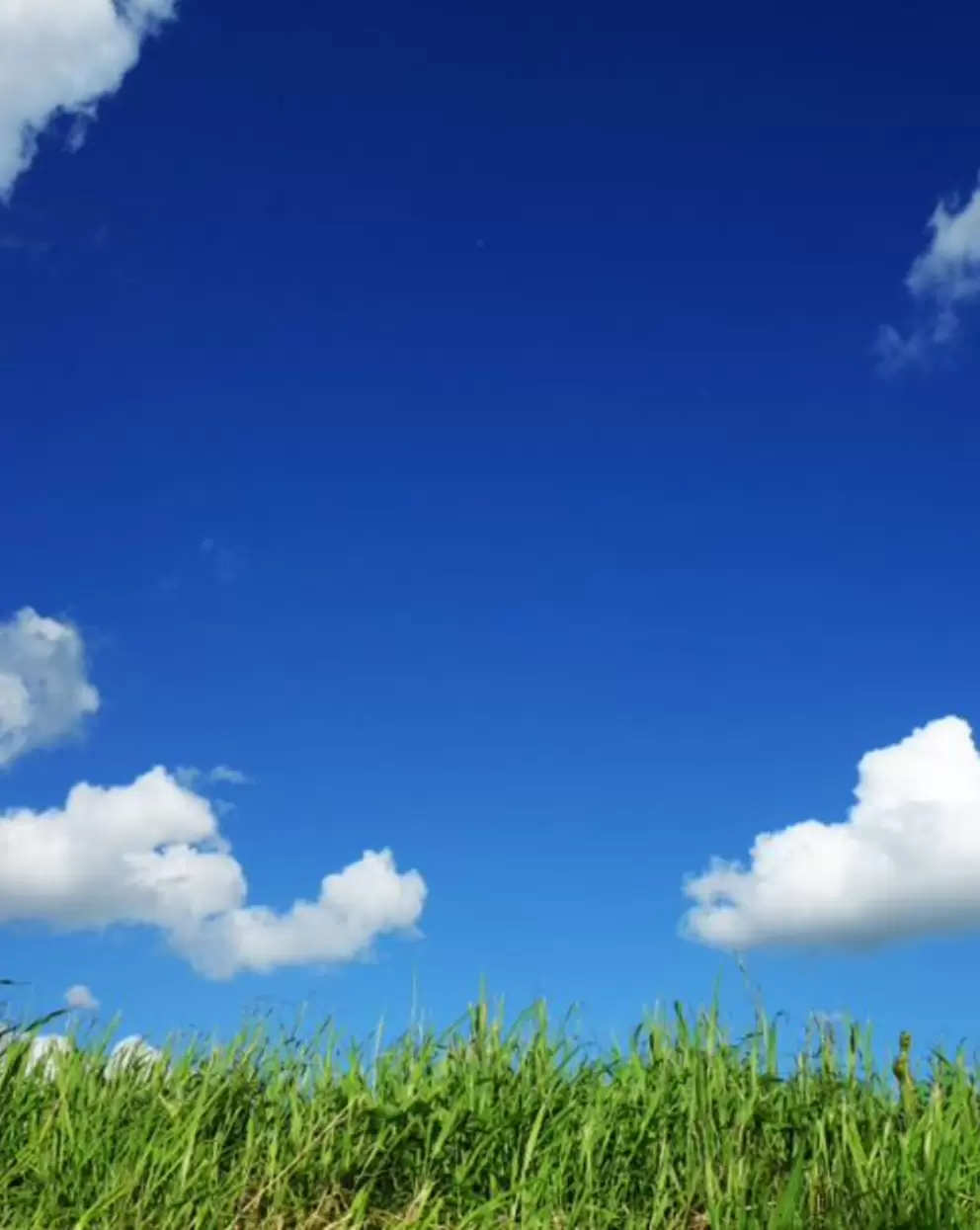 sky