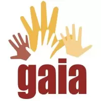 Global Alliance for Incinerator Alternatives (GAIA) 