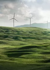 Wind turbines, clean energy. Photo by Appolinary Kalashnikova on Unsplash