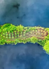 تصوير توم فيسك: https://www.pexels.com/photo/aerial-shot-of-rural-area-3963061/