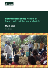 Biofermentation of crop residues to improve dairy nutrition and productivity