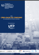 Consumption Baseline - Paraguay.png