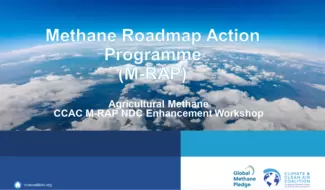 Agricultural Methane - CCAC M-RAP NDC Enhancement Opportunities and Examples Workshop