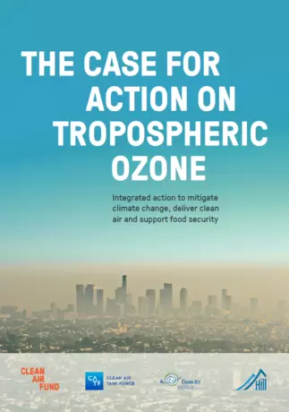ozone caf.png