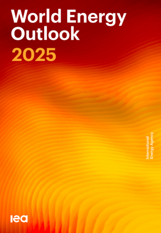 Capture d'écran 2025-11-30 094722.png
