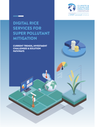 Digital Rice