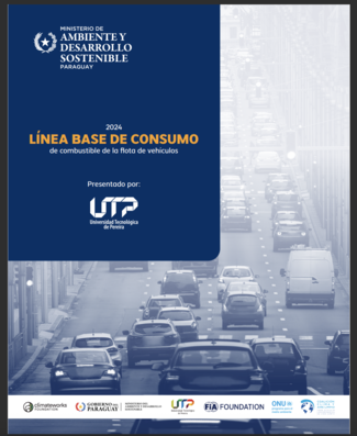 Consumption Baseline - Paraguay.png