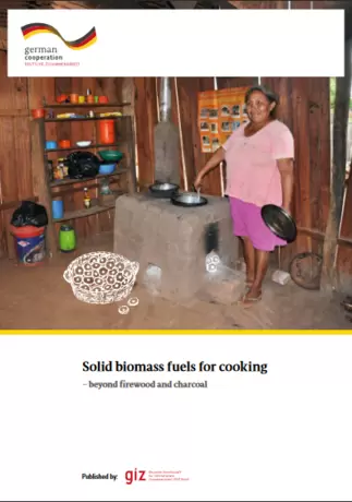 Solid biomass fuels for cooking - beyond firewood and charcoal