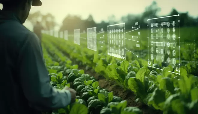 Agri-food system