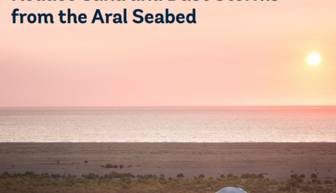 aral seabed.PNG