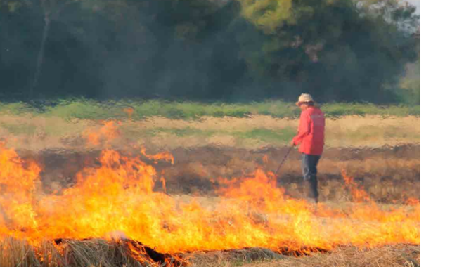 residue burning.PNG