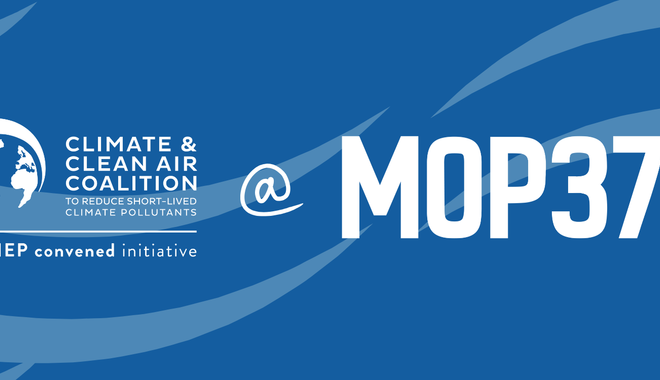 MOP37 Banner