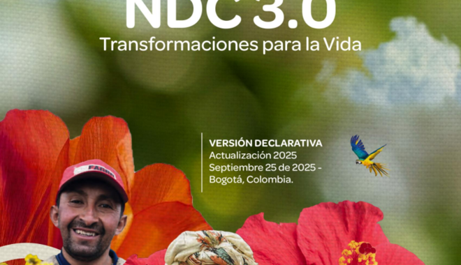 Col NDC cover.png