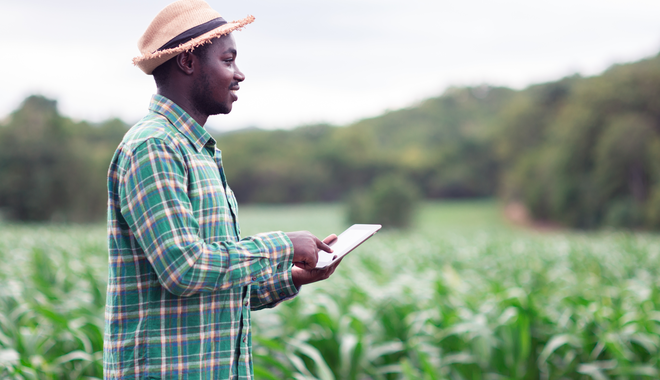 African Farming