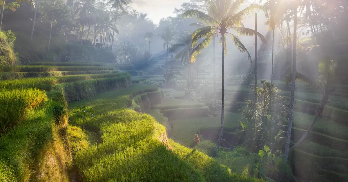 Indonesia