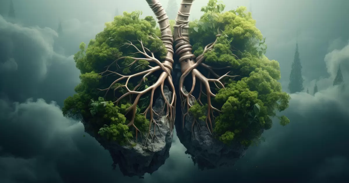 lungs of earth
