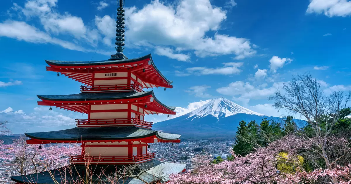 AdobeStock_481509544.jpeg