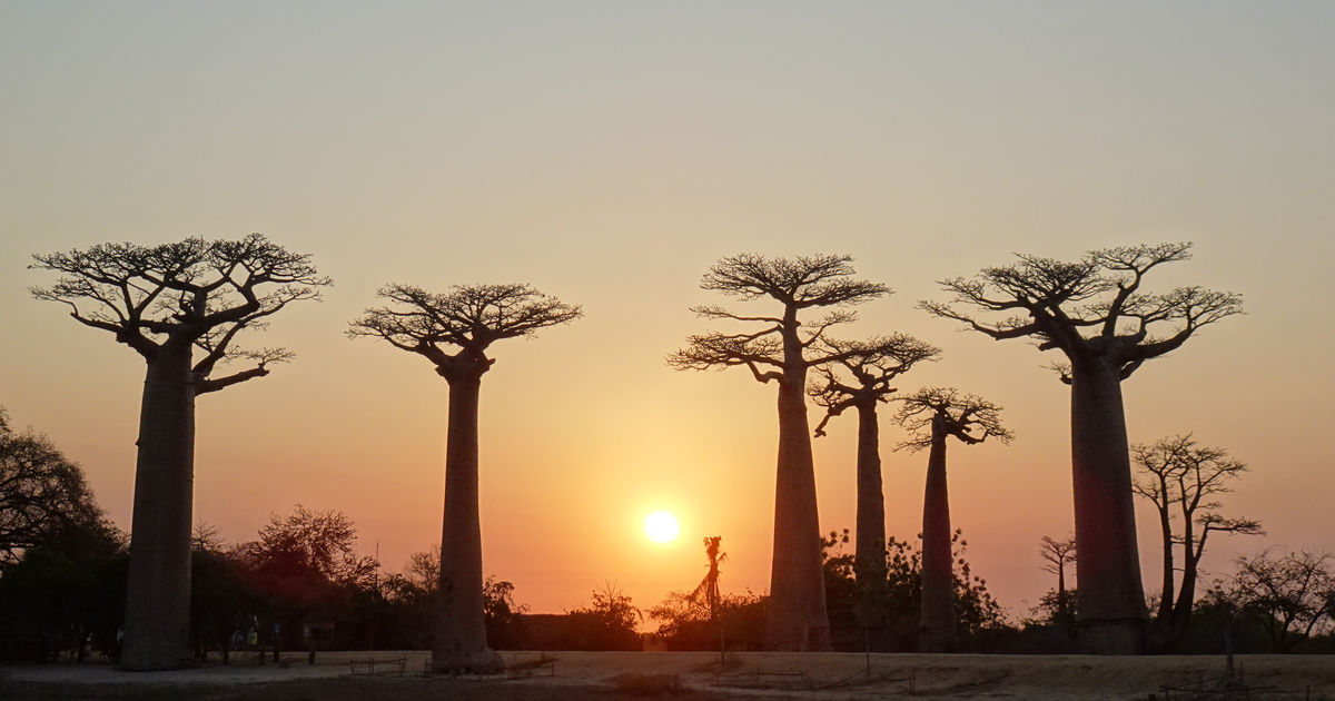 Madagascar