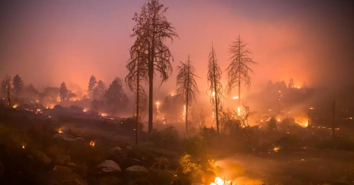 Forest fires like those that devastated California in 2018 are expected to become more frequent with climate change. 