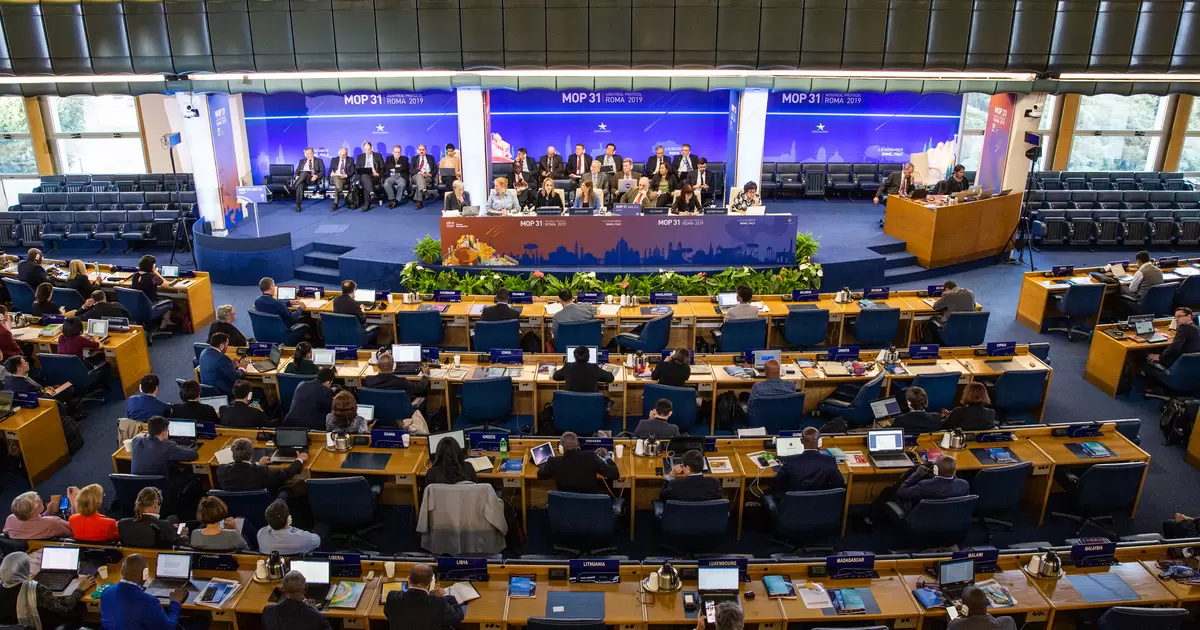 Delegates meet in Rome, Italy for the 31st Meeting of the Parties to the Montreal Protocol on Substances that Deplete the Ozone Layer (Photo by IISD/ENB | Natalia Mroz)
