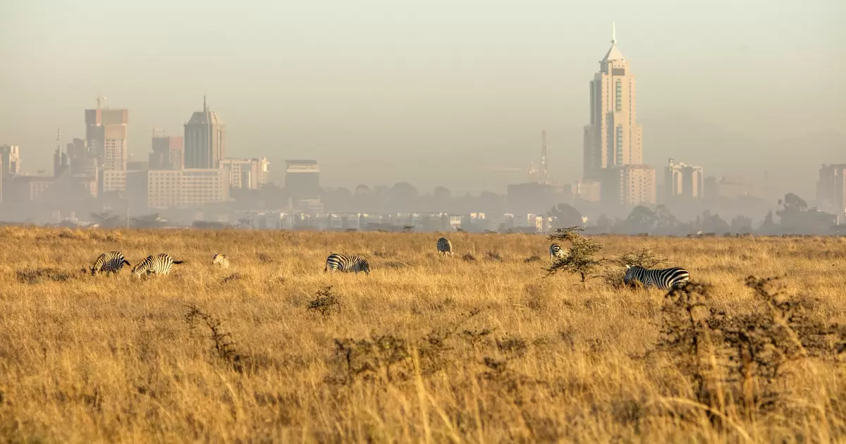 Air pollution covers the Nairobi skyline (photo:Tomas Rodriguez/GettyImages)