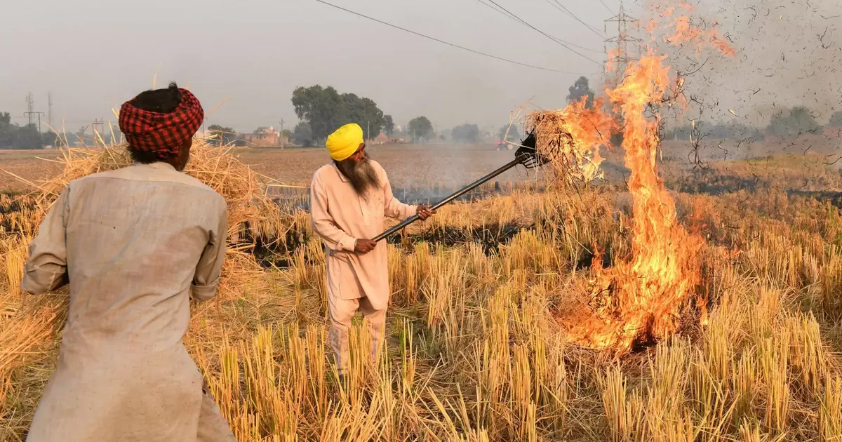 Amritsar, India, farmers burn stubble after harvesting a paddy crop. Open burning is a major contributor to atmospheric black carbon (or soot), an extremely potent but short-lived climate pollutant. Eliminating this practise is a quick win for health, climate and food production. © Narinder Nanu/AFP via Getty Images