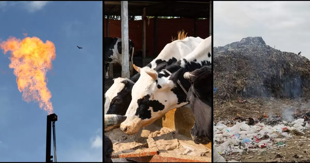Emissions from fossil fuels, agriculture and waste are driving increased methane concetrations in the atmosphere