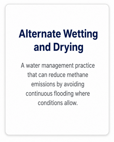 Alternate Wetting And Drying V2