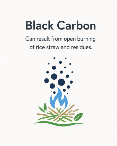 Black Carbon V3