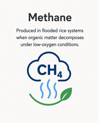 Methane V3
