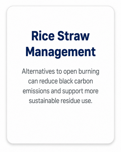 Rice Straw Management V2
